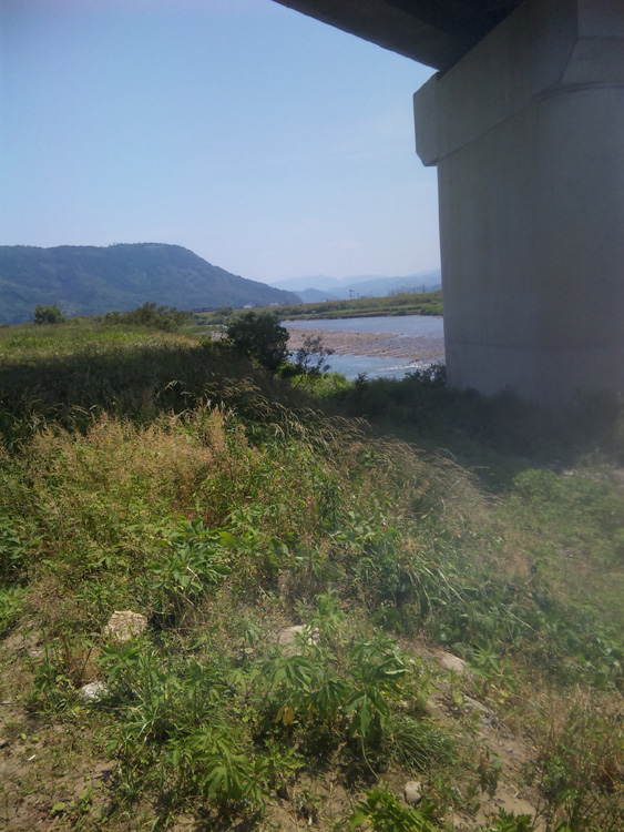 100612_131638