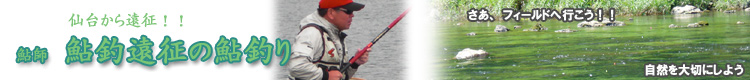 banner1